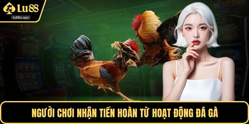 Người chơi nhận tiền hoàn từ hoạt động đá gà
